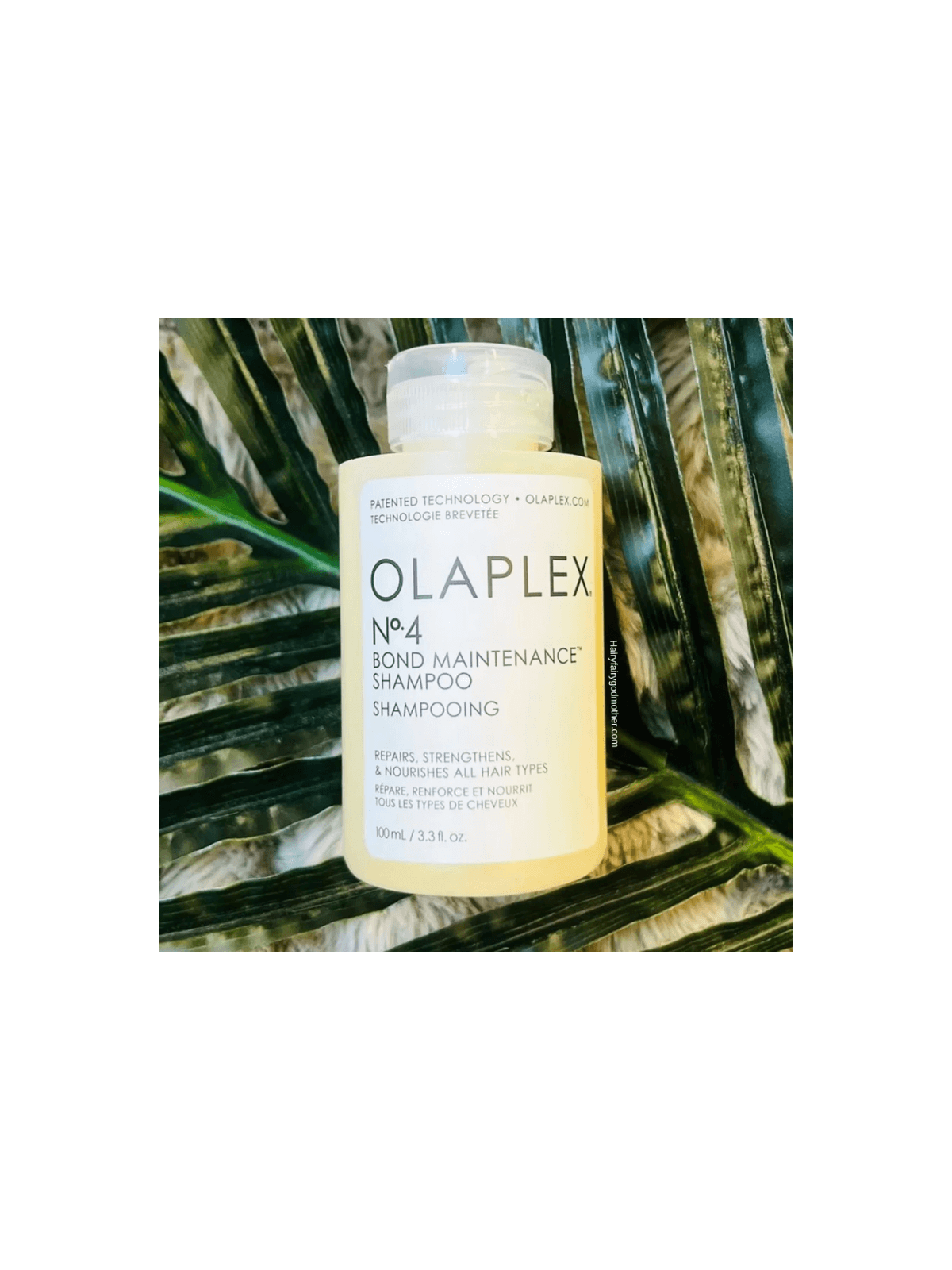 Shampoing Olaplex sans sulfate - Livraison gratuite !