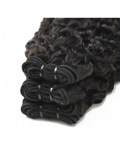 burmese curly