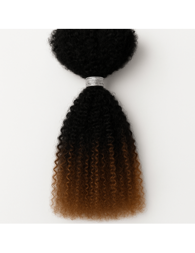 meches-afro-crepues-humaines-en-vrac-tressestwists-ombre-1b30
