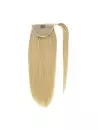 Ponytail couleur blond miel